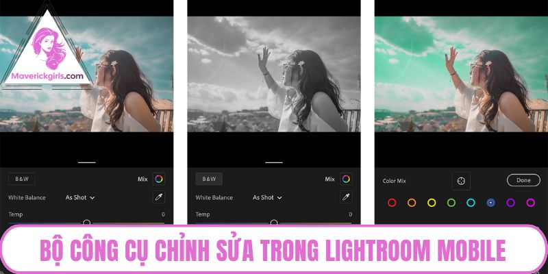 Bộ công cụ chỉnh sửa trong Lightroom Mobile