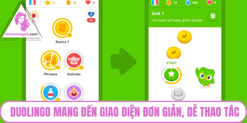 Duolingo mang đến giao diện đơn giản, dễ thao tác