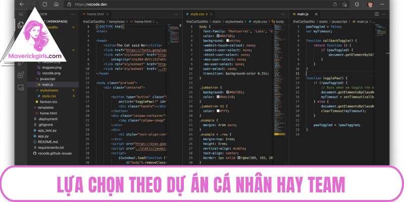Lựa chọn theo dự án cá nhân hay team